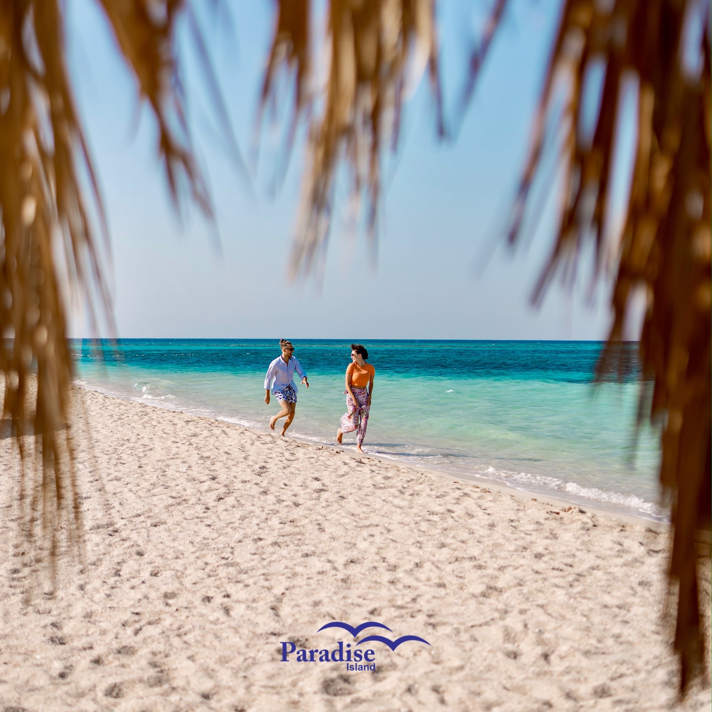 474035991_18301374337227154_5450149023890516664_n